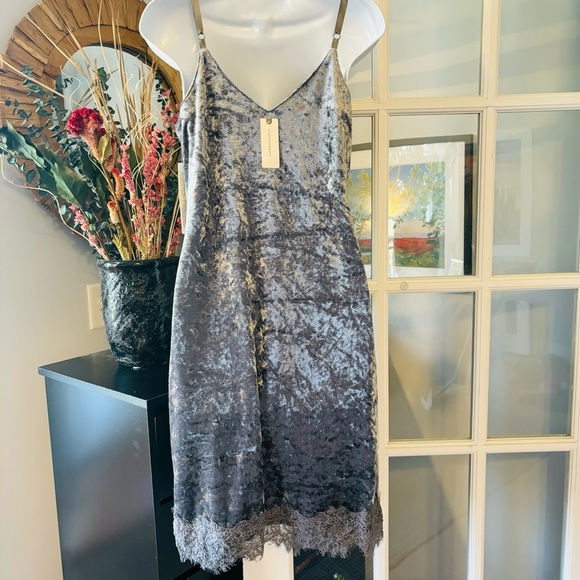 Anthropologie Porridge Tessie Silver Grey Velvet Dress NWT Small - Picture 11 of 13